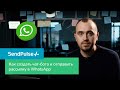 Как отправлять массовые и автоматические рассылки в WhatsApp