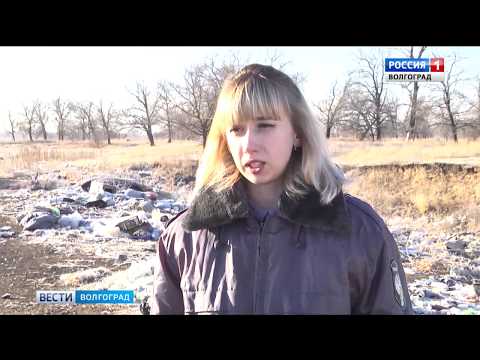 О выявлении захламления и зарастания сельхозугодий сорной растительностью.