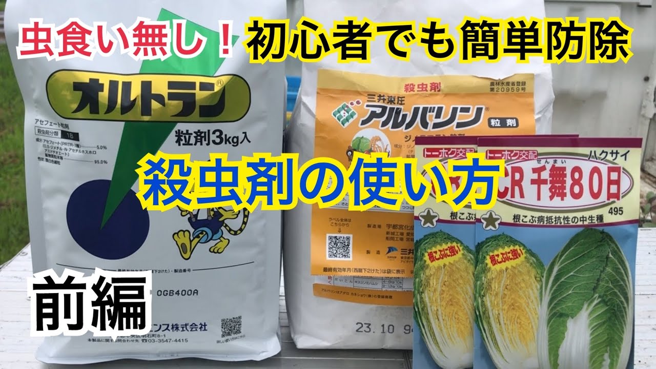 殺虫剤の使い方前編 白菜 キャベツ ブロッコリー など虫食い初期防除法 Youtube