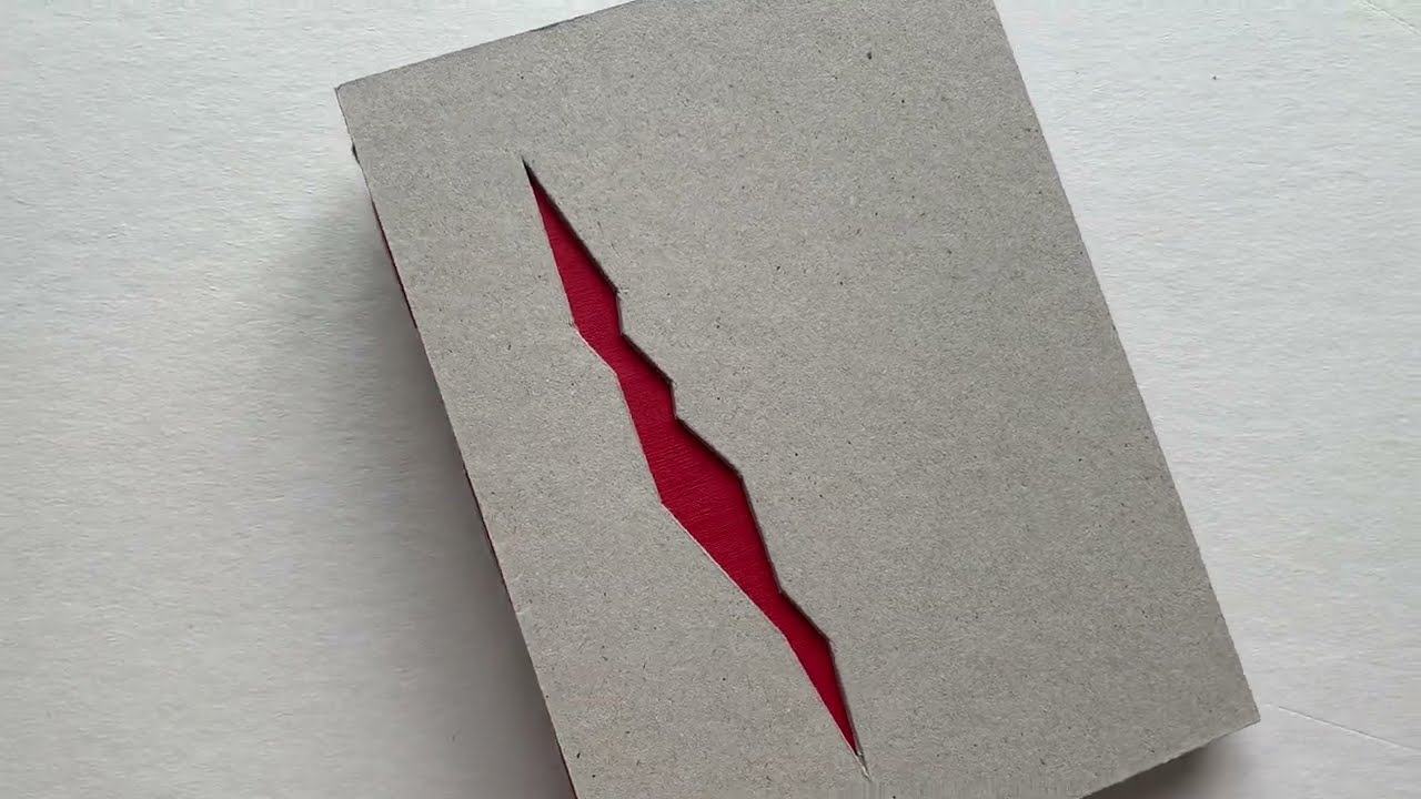 Julia Borissova. Dimitry - artist book