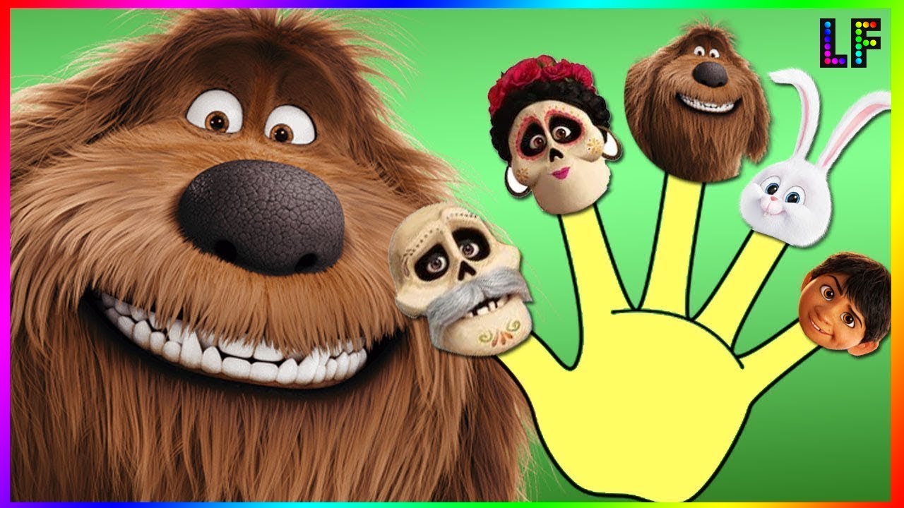 COCO Secret Life of pets Finger Family | Daddy finger Coco Secret Pets