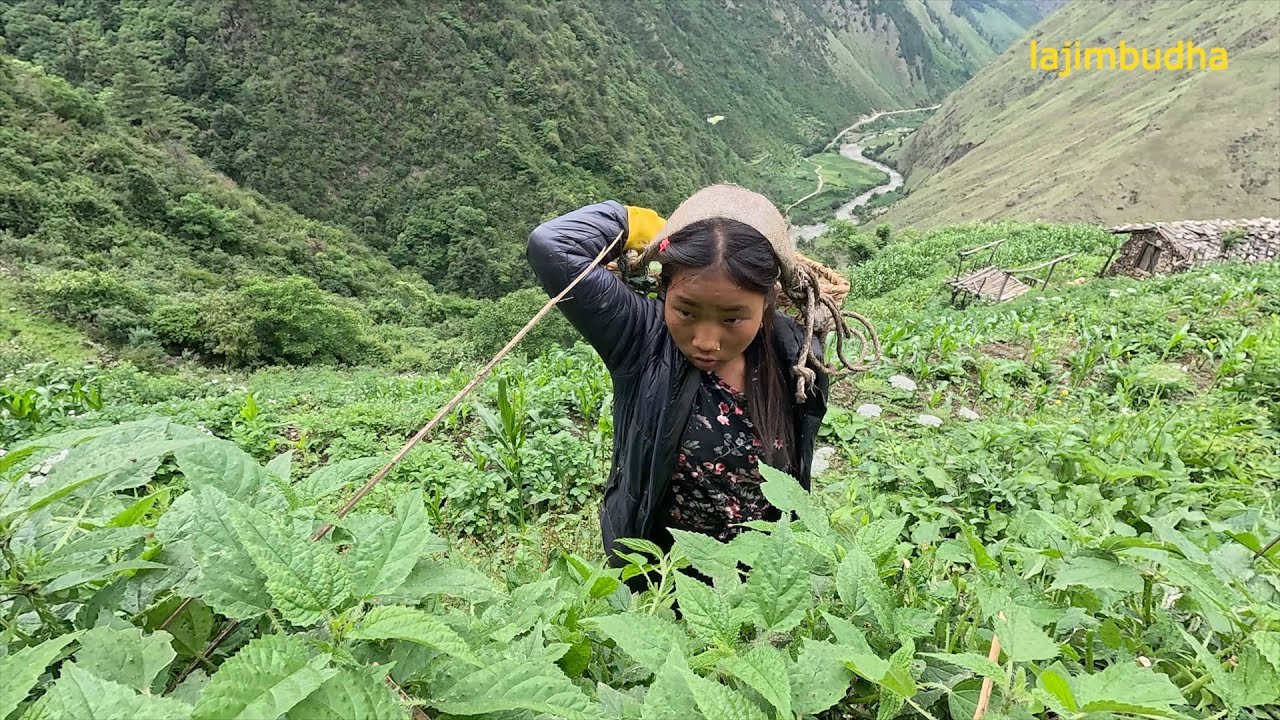 simple but organic || @villagefoodkitchen ||