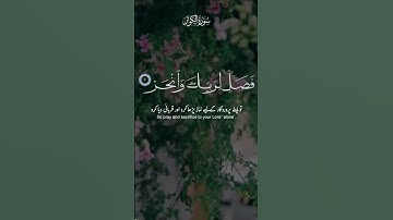أنا اعطيناك الكوثر#القرآن_الكريم  القارئ عبد الرحمن مسعد#راحة_نفسية #quran