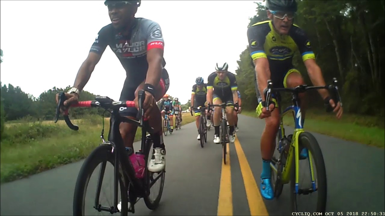 seagull century 2020