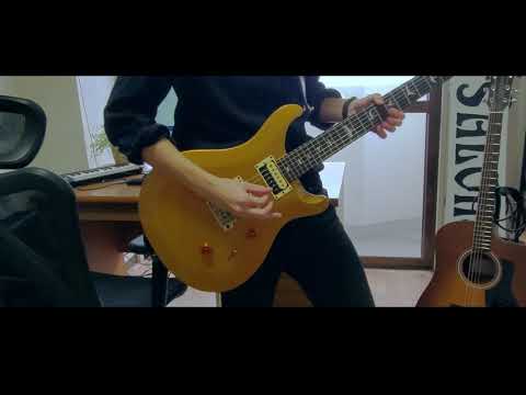 凛として時雨 DISCO FLIGHT cover