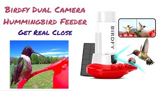 Birdfy Hum Hummingbird Feeder with Dual Camera Review