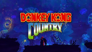 Donkey Kong Country • Cool & Calming Music   Rainstorm 🎧 #tenpers