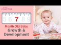 7 Month Old Baby - Growth, Development, Activities & Care Tips