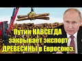 Путин НАВСЕГДА закрывает экспорт ДРЕВЕСИНЫ в Евросоюз