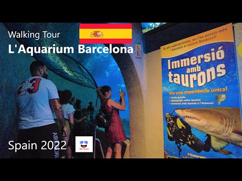 Walking Tour L'Aquarium Barcelona, Spain | The Largest in Europe | Visita a pie L'Aquarium Barcelona