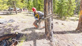 Minute Out In It   Spring Hazard Tree Removal
