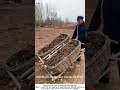 Old‑School Wheelbarrow – Hauling Mud with a One‑Wheeled Wonder 🧑‍🌾