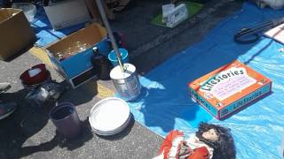 Very Quick Look at the Roadium Swapmeet Junky Section