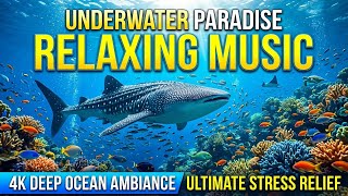 Ocean Harmony Night 🌌 • Relaxation Music for Sleep 😴 • Tranquil Wave Echoes 🌊
