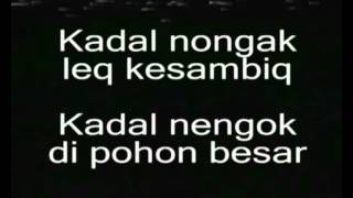Lagu Sasak (Lombok) - Kadal Nongak