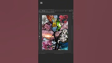 Photoshop Tips & Tricks #photoshop #tutorial #design #shorts #viralvideo
