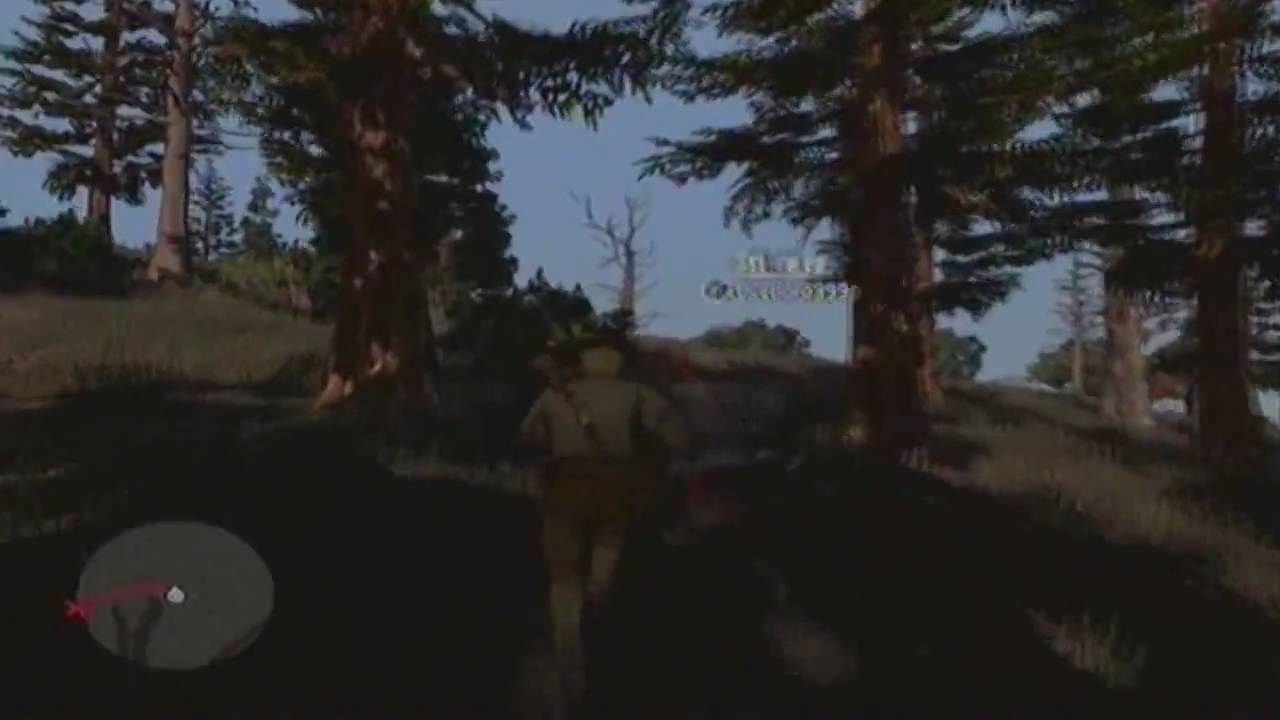 Having Fun With Bears (Red Dead Redemption)