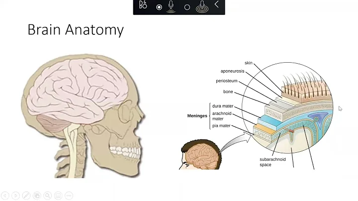 Head Trauma