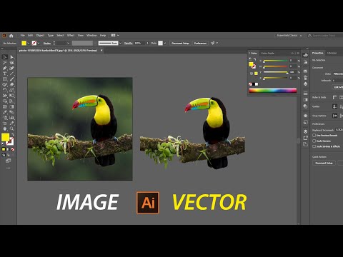 Βίντεο: Πώς να χρησιμοποιήσετε το Adobe Illustrator: 11 βήματα (με εικόνες)