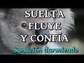 ♥️🎧 "SUELTA, FLUYE Y CONFÍA". ♥️ Cumple tu misión.  🌺Sanación durmiendo 💚🌹