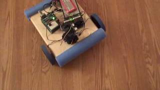 Zappbot-20100704-001.Avi