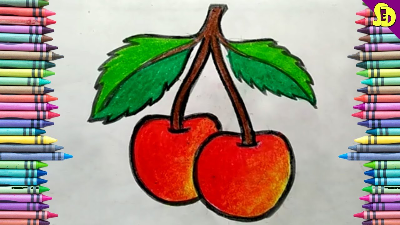 How to draw Cherry Fruit Cherry Fruit drawing easy for beginners