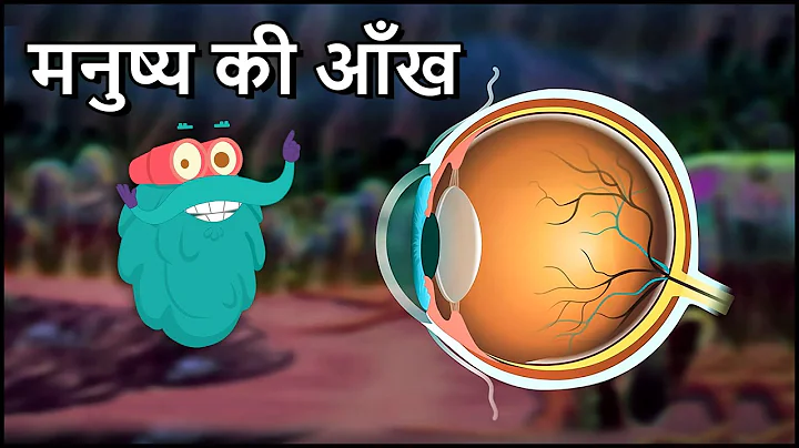 ह्यूमन ऑय | मनुष्य की आँख | Human Eye in Hindi | Dr.Binocs Show | Educational Videos For Kids