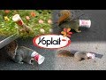 Yoplait Yogurt NEEDS to change...  - Save the Squirrels Initiative