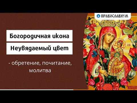 Богородичная икона "Неувядаемый цвет" - обретение, почитание, молитва