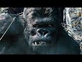 Capturing Kong Scene - King Kong (2005) Movie Clip HD