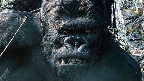 Capturing Kong Scene - King Kong (2005) Movie Clip HD