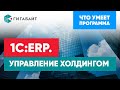 "1С:ERP.Управление холдингом" . Основные возможности программы