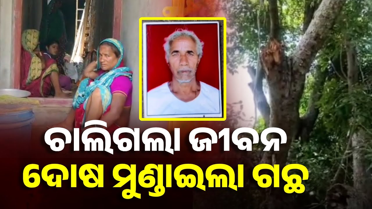ଗଛ ତଳେ ଥକ୍କା ମାରୁଥିଲେ ସେହି ଗଛ ନେଇଗଲା ଜୀବନ || Knews Odisha