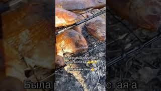 Копченый лещ