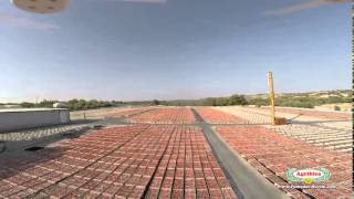 Agriblea Di Agosta Giorgio C. Societa Semplice Agricola