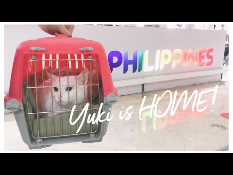 Video: Gaano katagal ang online CAT test?