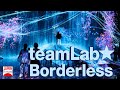 Teamlab borderless digital art museum  japan forward