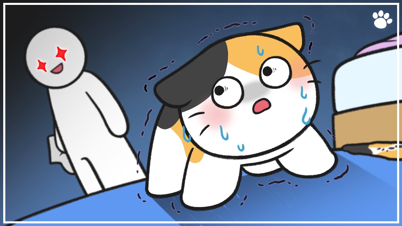 4 Behaviors Cats Display When They Don’t Trust Their Owners