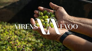 Virens - 59901