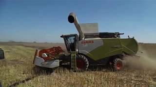 Żniwa Rzepaku 2017 3X John Deere Ursus Bizon 2X Claas Hd