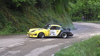 Rallye du Pays Viganais 2024 [HD] - Mistackes