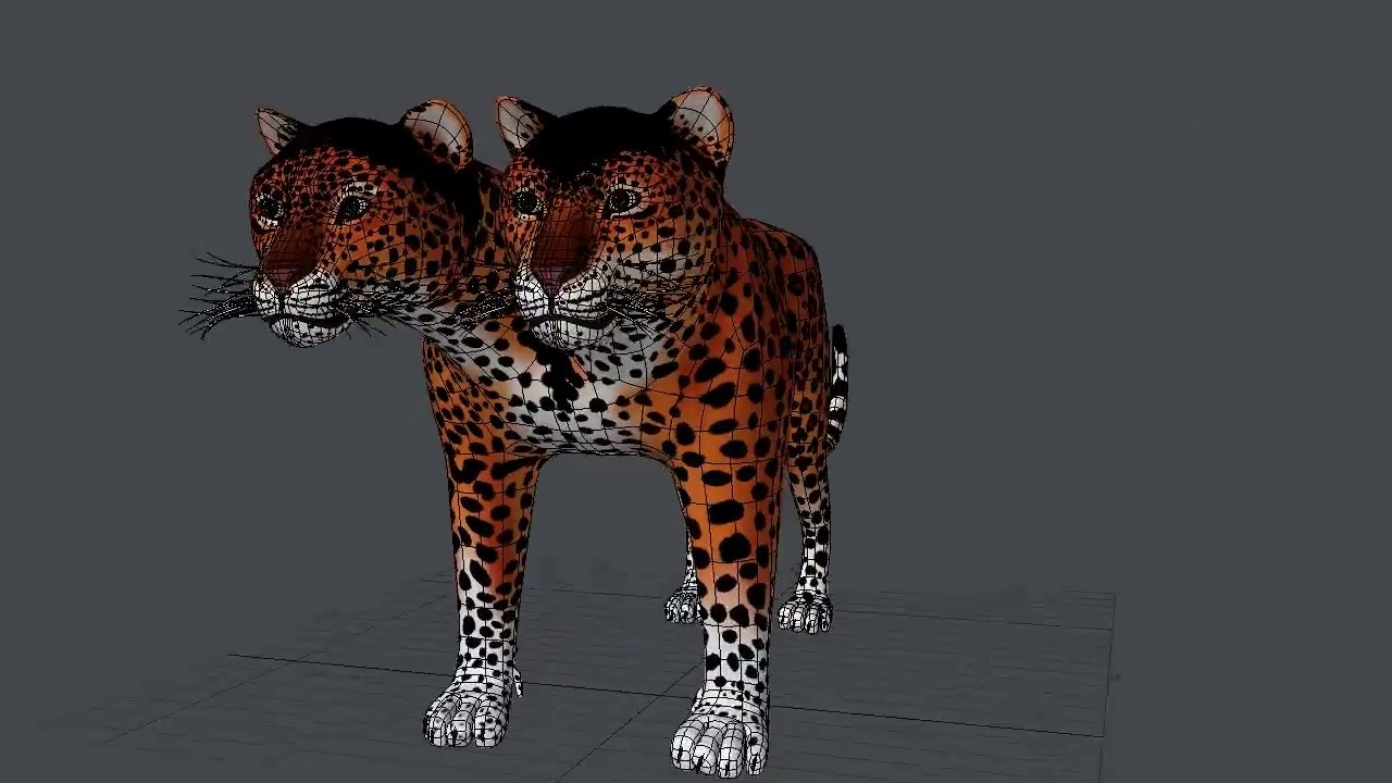 cheetah running speed Agu N'abo 3D Model Preview