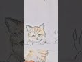 cute kitty drawing with colouring #art #drawing #ytshort #shortvideo #creativity #easy