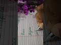 Master Cursive Writing in 4-Line Copy ✍️✨