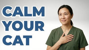 How To Calm A Fear Aggressive Cat?