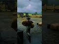 NPCs Living Like Real People 👀