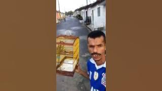 Oooooo papa capim dos meus sonhos que figura esse Dinho kapa