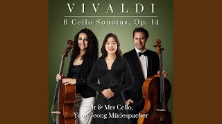 Cello Sonata in A Minor, RV 43: II. Allegro