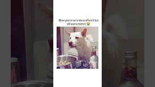 Bro's dining on vapours 😭