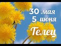 ТЕЛЕЦ ♉❤️ 30 мая по 5 июня. Таро прогноз для Тельцов/TAURUS TAROT/Tarot forecast for Taurus.